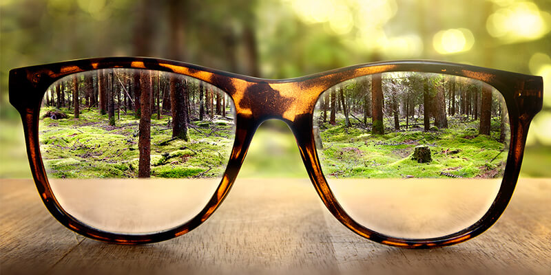 Glasses In Forest