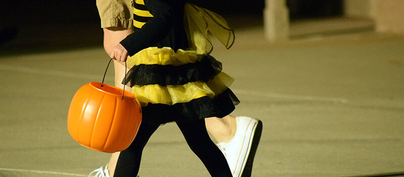 halloween bee costume