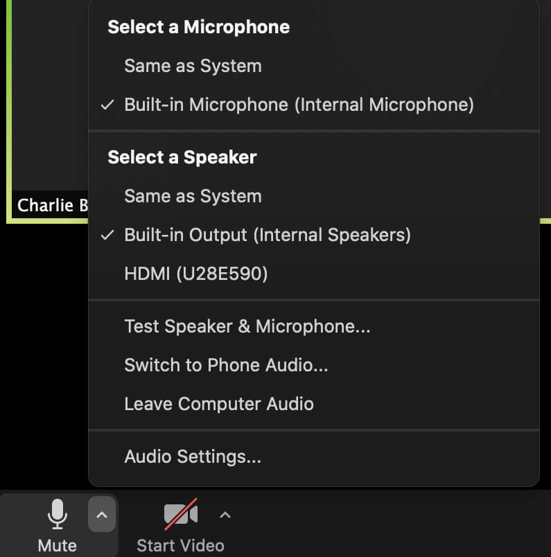 Zoom Audio