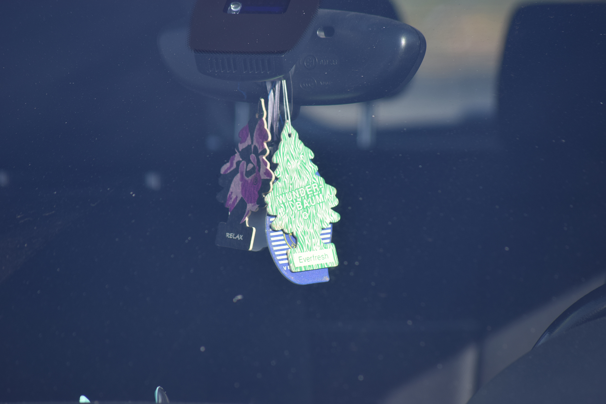 Little Tree air fresheners