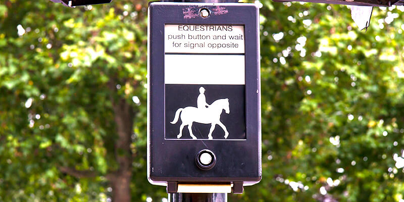 Pegasus crossing push button box